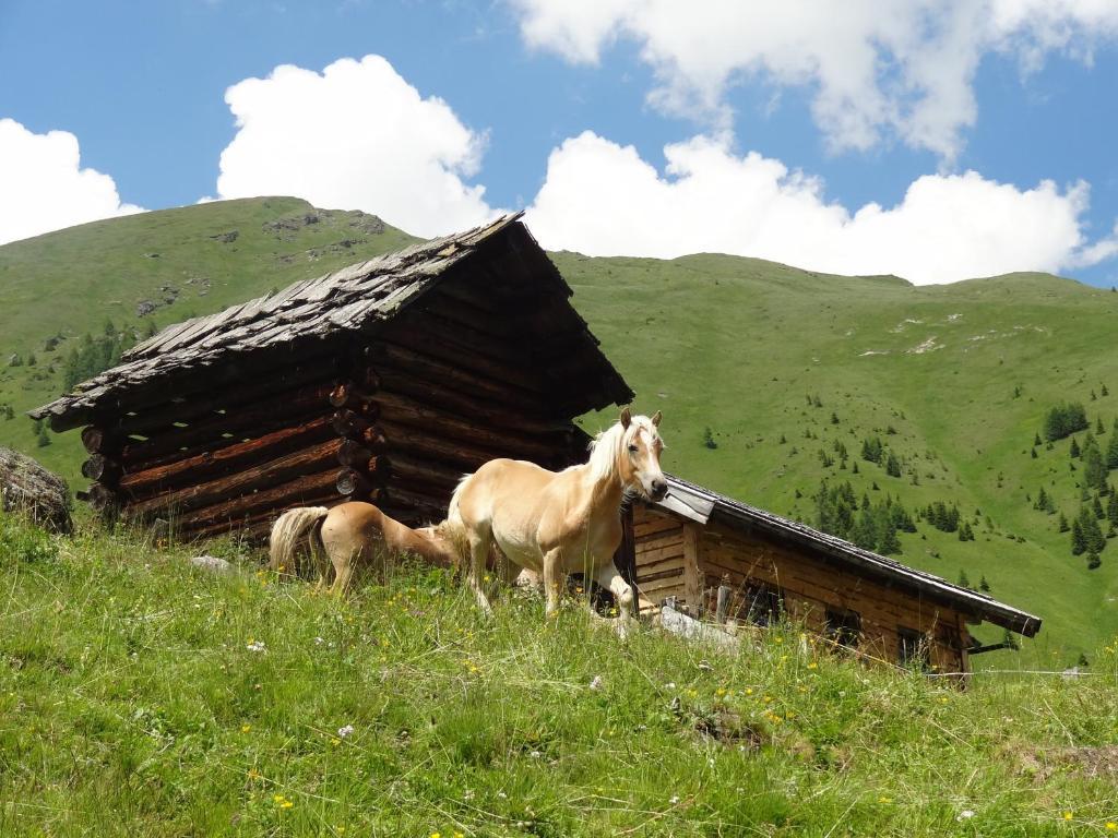 Gastehaus Zwischenberger Apartment Obervellach Luaran gambar